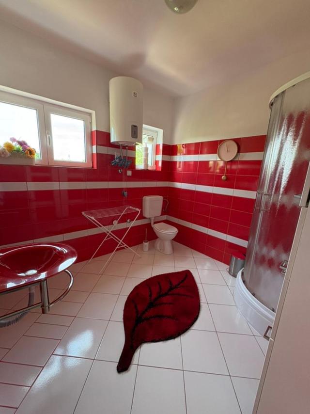 Apartman Anastazija Rovinj Buitenkant foto